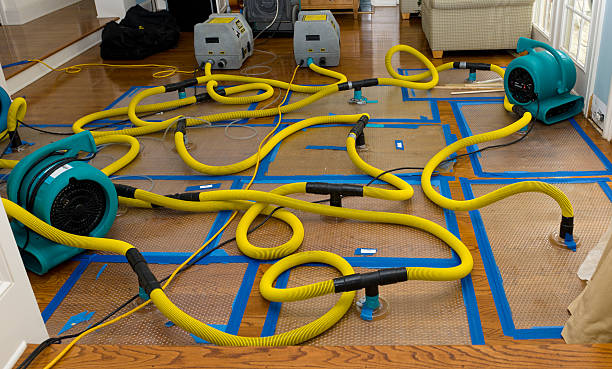 Professional Crawl Space Water Removal technician working in Tres Pinos, CA